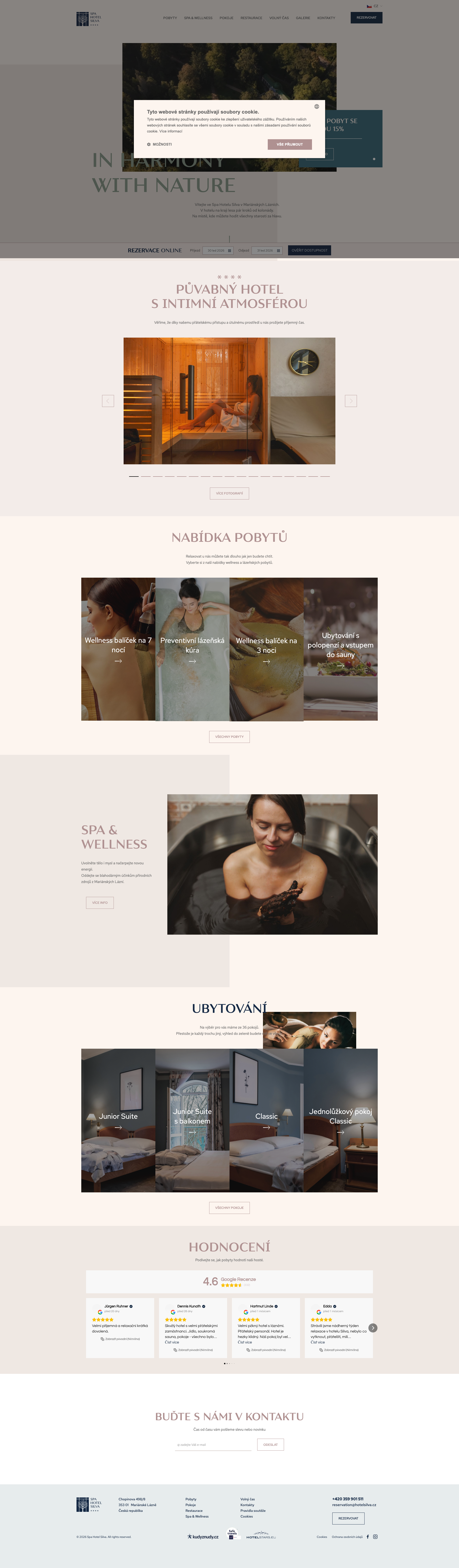 Analyzovaná stránka - desktop